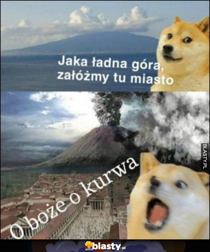 Pies pieseł doge jaka ładna góra załóżmy tu miasto o boże wulkan wybucha