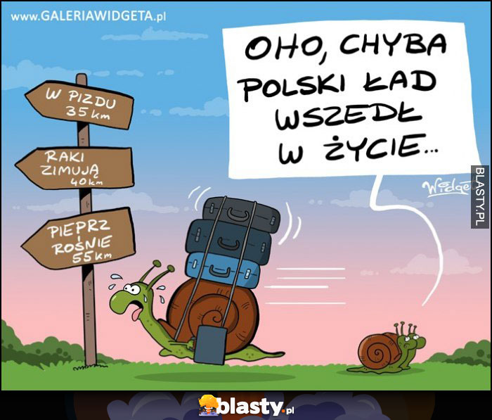 Polski ład
