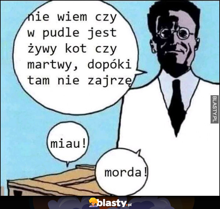 Schorodinger: nie wiem czy w pudle jest kot żywy czy martwy dopóki tam nie zajrzę, miau, morda!