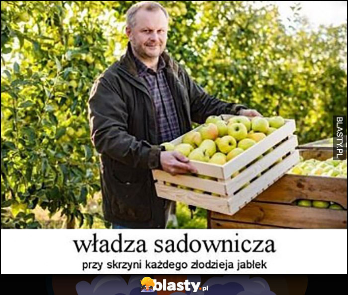 Władza sadownicza przy skrzyni każdego złodzieja jabłek