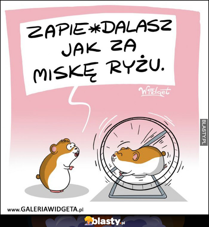 Za miskę ryżu