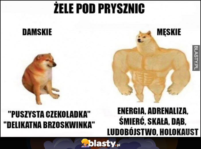 Żele pod prysznic damskie vs męskie nazwy pies pieseł doge