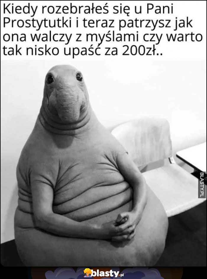 Kiedy rozebrałeś się u Pani Prostytutki i teraz patrzysz jak ona walczy z myślami czy warto tak nisko upaść za 200 zł