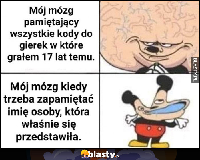 Mój mózg pamiętający wszystkie kody do gierek w które grałem 17 lat temu vs mój mózg kiedy trzeba zapamiętać imię osoby, która właśnie się przedstawiła Myszka Miki