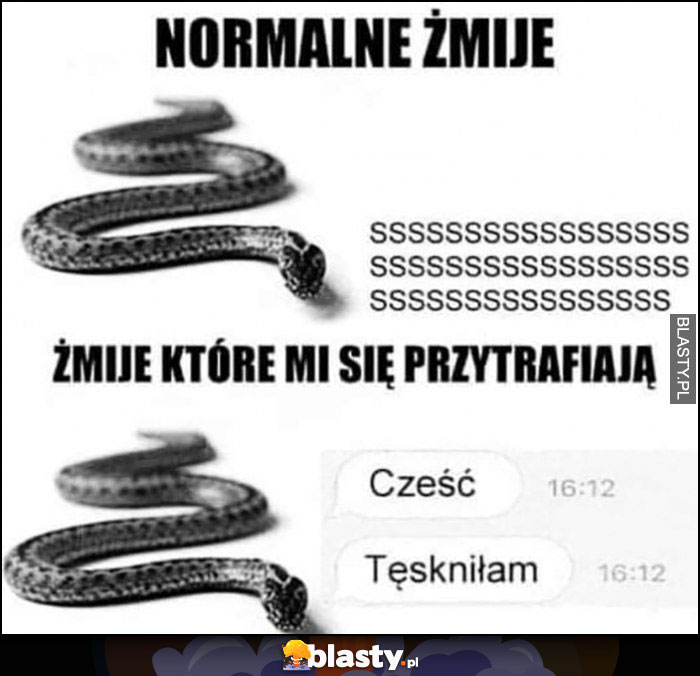 Normalne żmije: sss vs żmije które mi się przytrafiają: cześć, tęskniłam