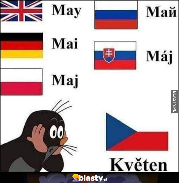 Słowo maj w różnych językach w Czechach Kveten Krecik zdziwiony