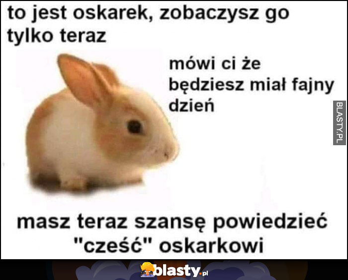 To jest Oskarek, zobaczysz go tylko teraz, mówi ci że będziesz miał fajny dzień, masz teraz szansę powiedzieć 