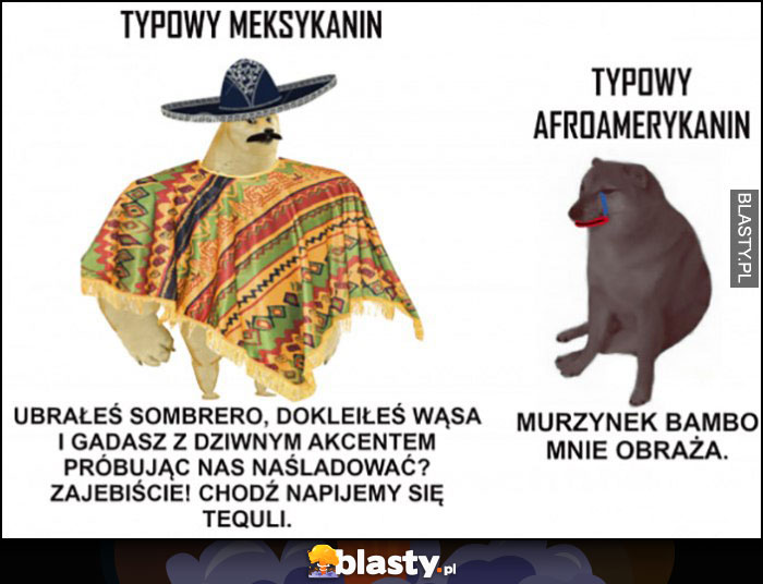 Typowy meksykanin vs typowy afroamerykanin pies pieseł doge porównanie