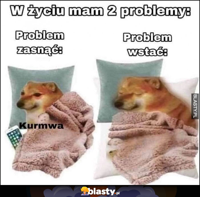 W życiu mam 2 problemy: problem zasnąć, problem wstać pies pieseł doge