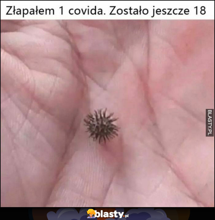 Złapałem 1 covida, zostało jeszcze 18