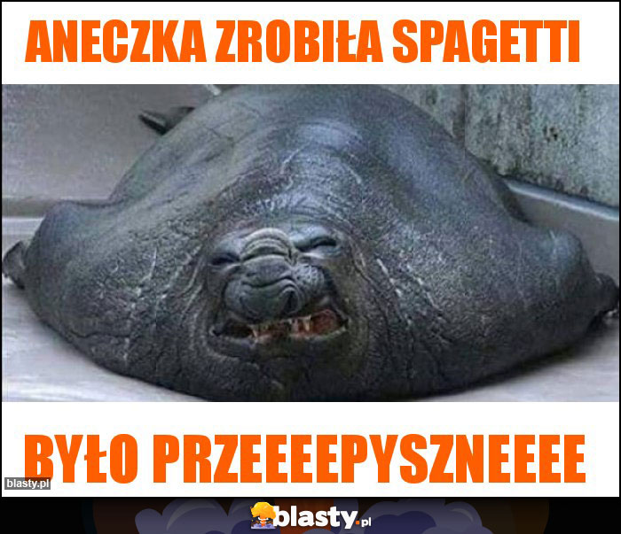 Aneczka zrobiła spagetti Aneczka zrobiła spagetti