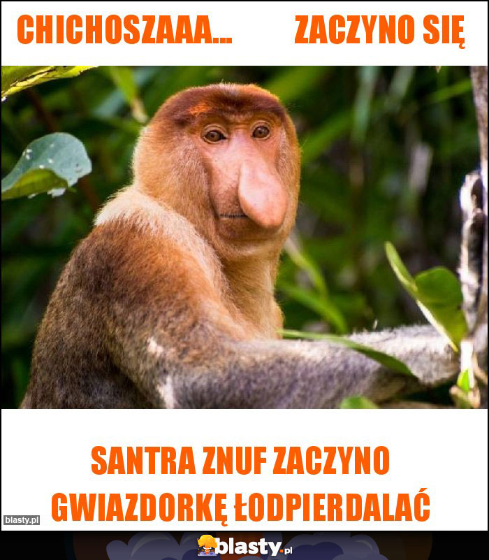Chichoszaaa... Zaczyno się Chichoszaaa... Zaczyno się