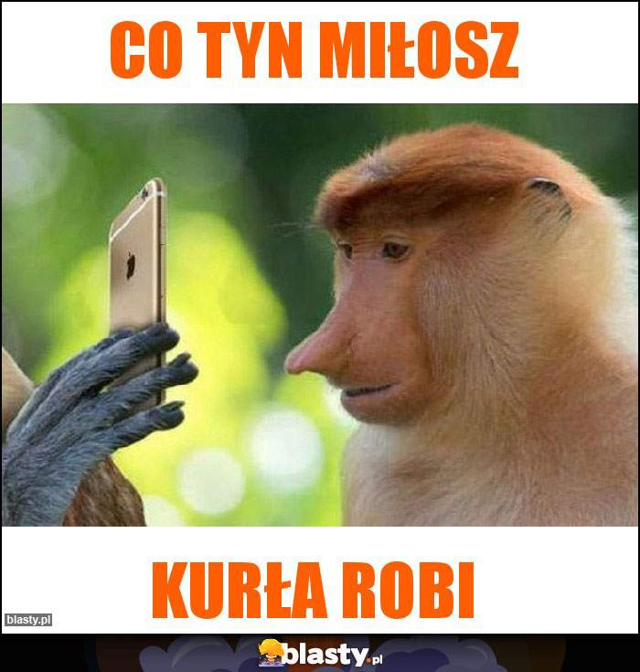 Co tyn Miłosz Co tyn Miłosz