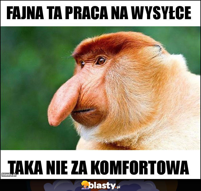 Fajna ta praca na wysyłce Fajna ta praca na wysyłce