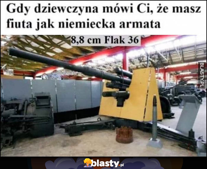 Gdy dziewczyna mówi Ci, że masz męskość jak niemiecka armata 8,8 cm flak