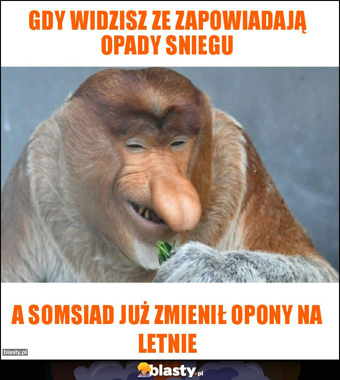 Gdy widzisz ze zapowiadają opady sniegu Gdy widzisz ze zapowiadają opady sniegu