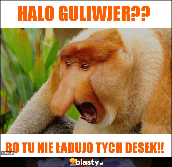 Halo guliwjer?? Halo guliwjer??