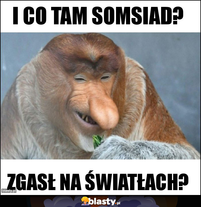 I co tam somsiad? I co tam somsiad?