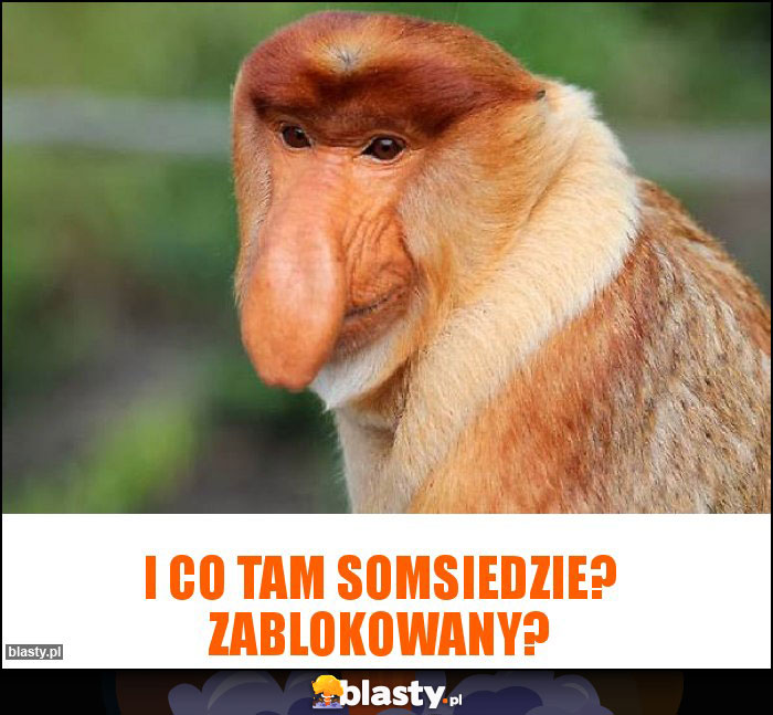 I co tam somsiedzie? Zablokowany? I co tam somsiedzie? Zablokowany?