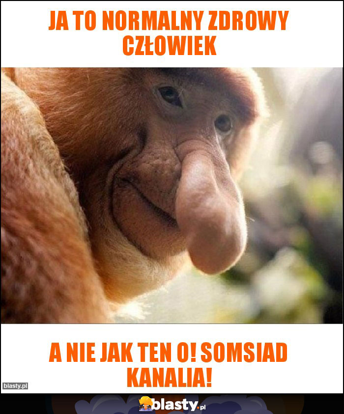 Ja to normalny zdrowy człowiek Ja to normalny zdrowy człowiek
