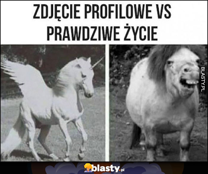 Jednorożec zdjęcie profilowe vs prawdziwe życie porównanie