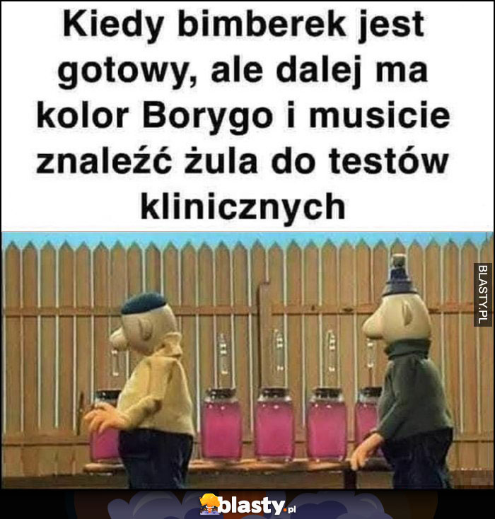 Kiedy bimberek jest gotowy ale dalej ma kolor Borygo i musicie znaleźć żula do testów klinicznych bajka Sąsiedzi