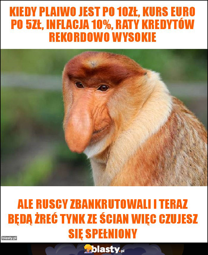 Kiedy plaiwo jest po 10zł, kurs euro po 5zł, inflacja 10%, raty kredytów rekordowo wysokie Kiedy plaiwo jest po 10zł, kurs euro po 5zł, inflacja 10%, raty kredytów rekordowo wysokie