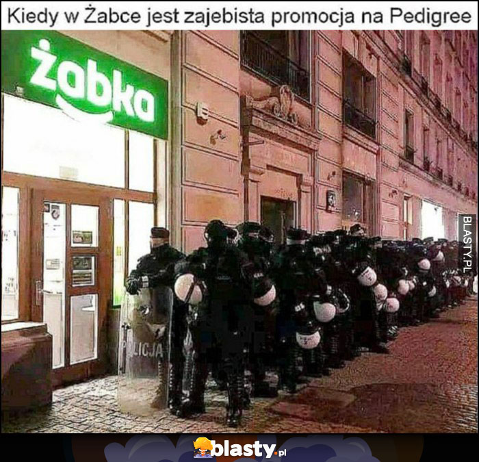 Kiedy w Żabce jest promocja na Pedigree psy policja