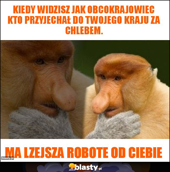 Kiedy widzisz jak obcokrajowiec kto przyjechał do Twojego kraju za chlebem. Kiedy widzisz jak obcokrajowiec kto przyjechał do Twojego kraju za chlebem.