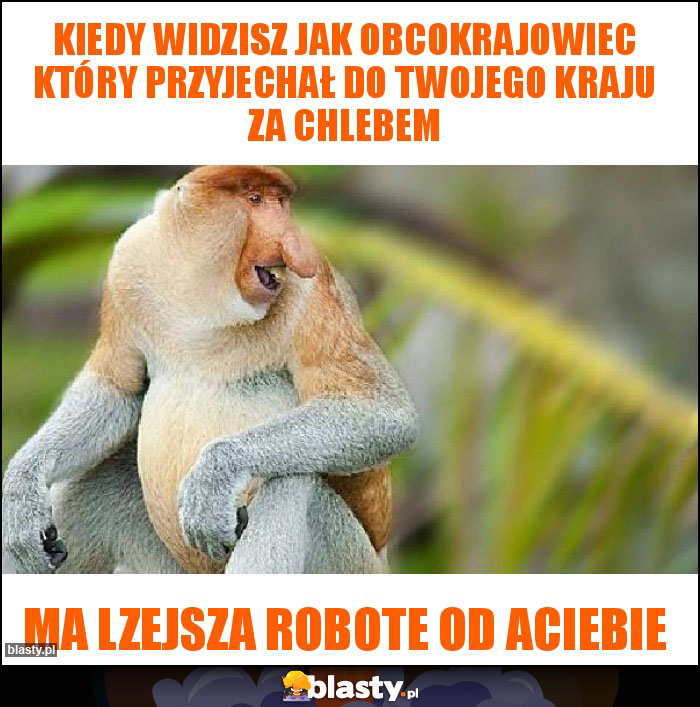 Kiedy widzisz jak obcokrajowiec który przyjechał do Twojego kraju za chlebem Kiedy widzisz jak obcokrajowiec który przyjechał do Twojego kraju za chlebem
