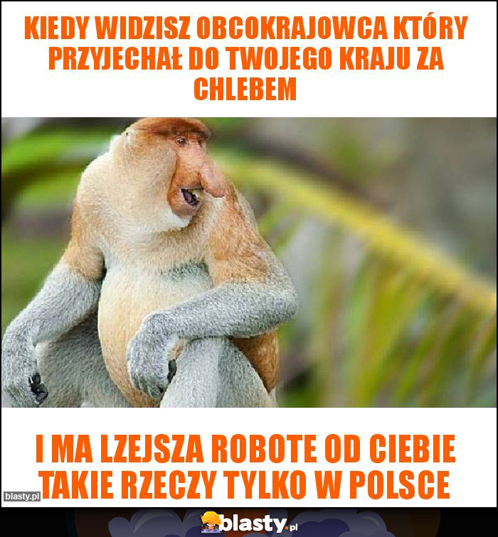 Kiedy widzisz obcokrajowca który przyjechał do twojego kraju za chlebem Kiedy widzisz obcokrajowca który przyjechał do twojego kraju za chlebem