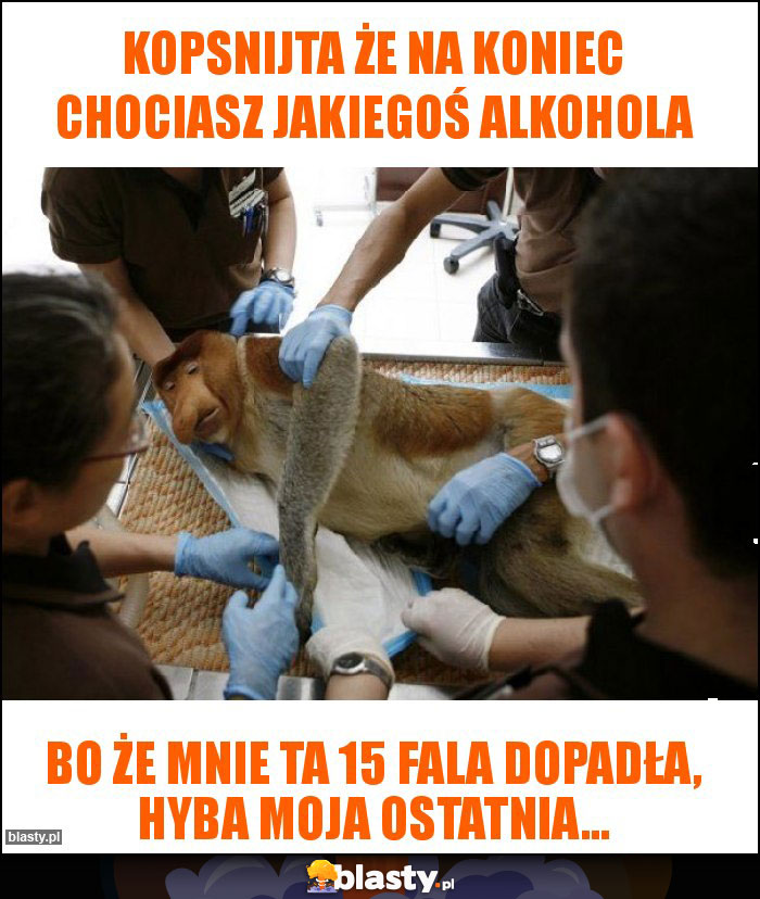 Kopsnijta że na koniec chociasz jakiegoś alkohola Kopsnijta że na koniec chociasz jakiegoś alkohola