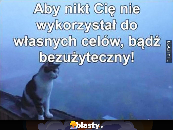 Kot aby nikt Cię nie wykorzystał do własnych celów bądź bezużyteczny porada