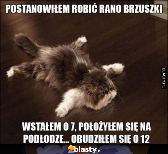 Kot postanowiłem robić rano brzuszki, wstałem o 7, położyłem się na podłodze, obudziłem się o 17