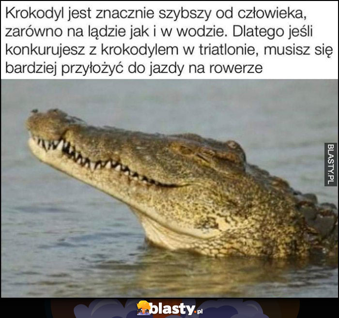 Krokodyl jest szybszy od człowieka na lądzie i w wodzie, w triatlonie musisz się bardziej przyłożyć do jazdy na rowerze