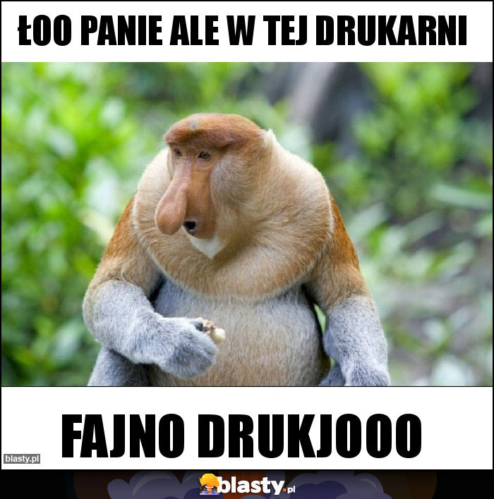 Łoo Panie ale w tej drukarni Łoo Panie ale w tej drukarni