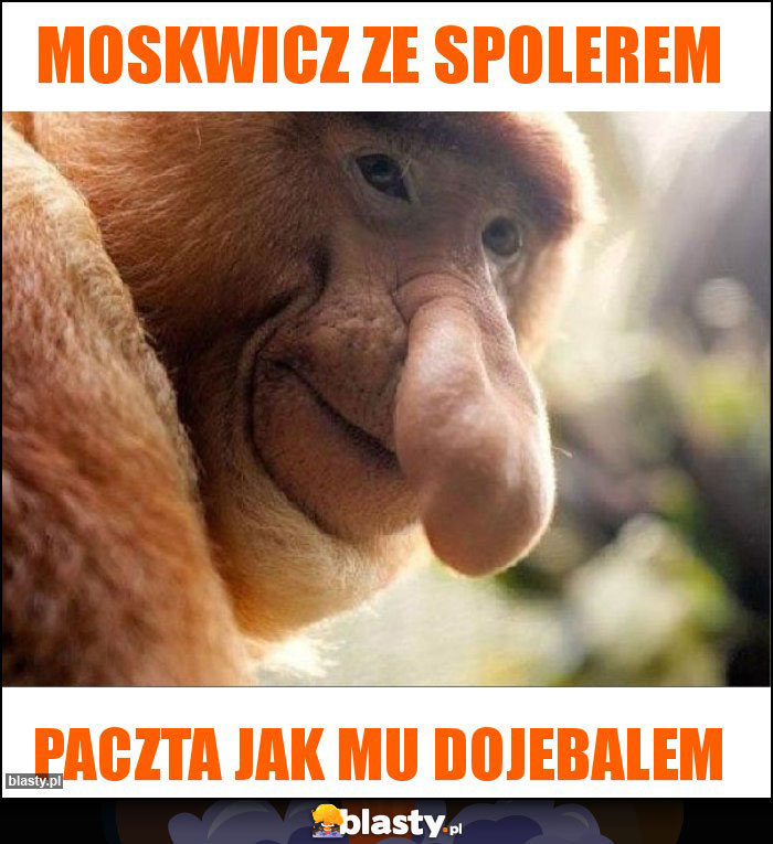 MOSKWICZ ZE SPOLEREM MOSKWICZ ZE SPOLEREM
