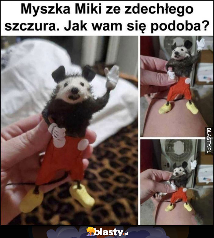 Myszka Miki ze zdechłego szczura, jak wam się podoba?