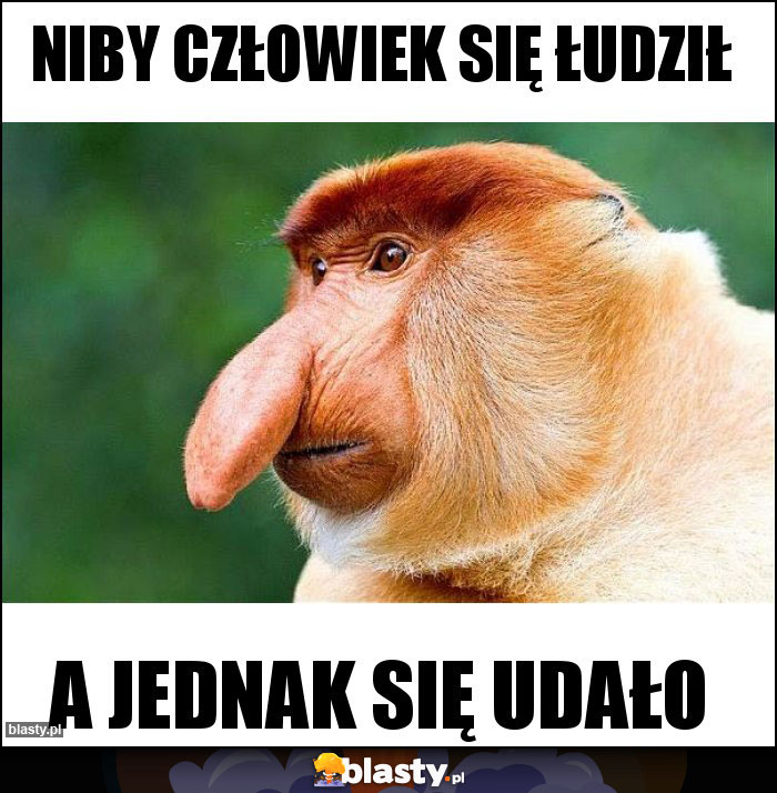 Niby człowiek się łudził Niby człowiek się łudził