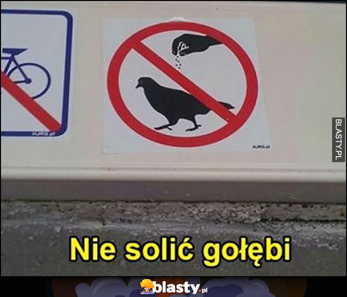 Nie solić gołębi znak zakaz