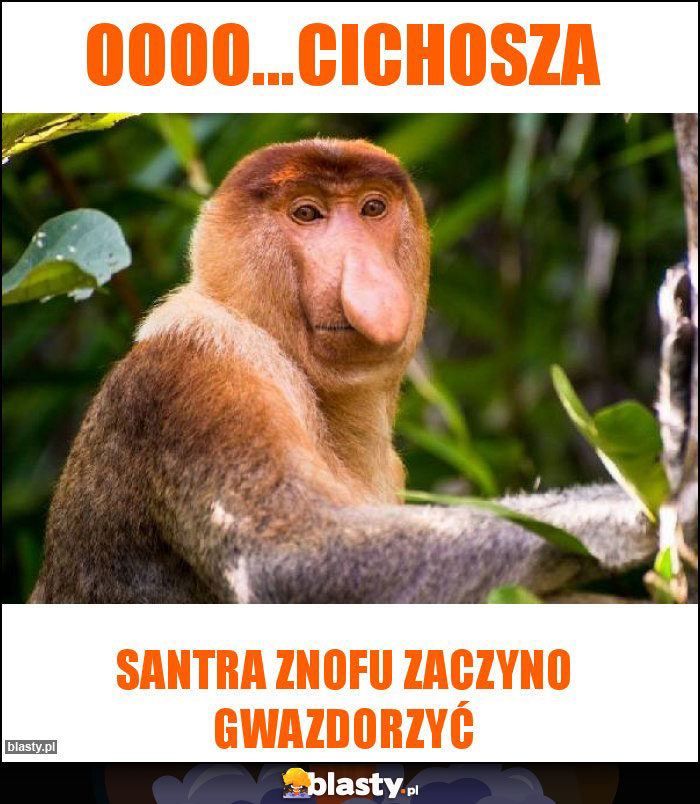 Oooo...cichosza Oooo...cichosza