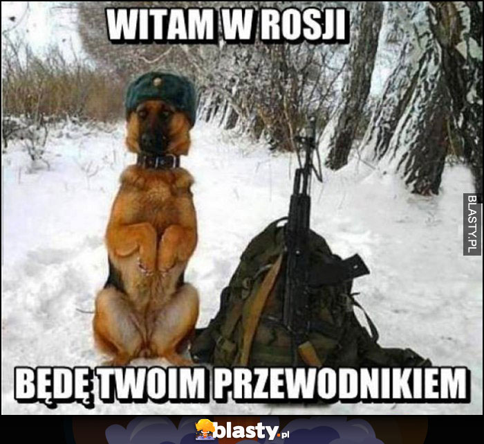 Pies żołnierz witam w Rosji, będę Twoim przewodnikiem