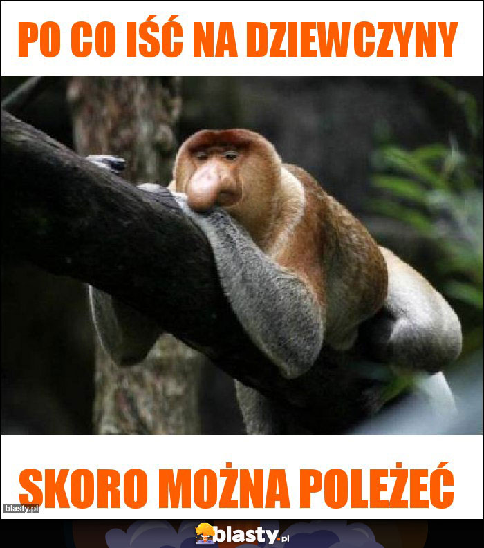 Po co iść na dziewczyny Po co iść na dziewczyny