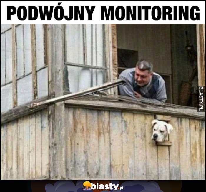 Podwójny monitoring pies i pan wyglądają patrzą