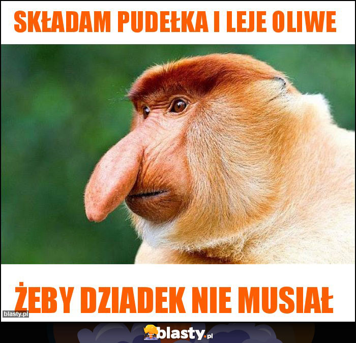 Składam Pudełka i Leje Oliwe Składam Pudełka i Leje Oliwe