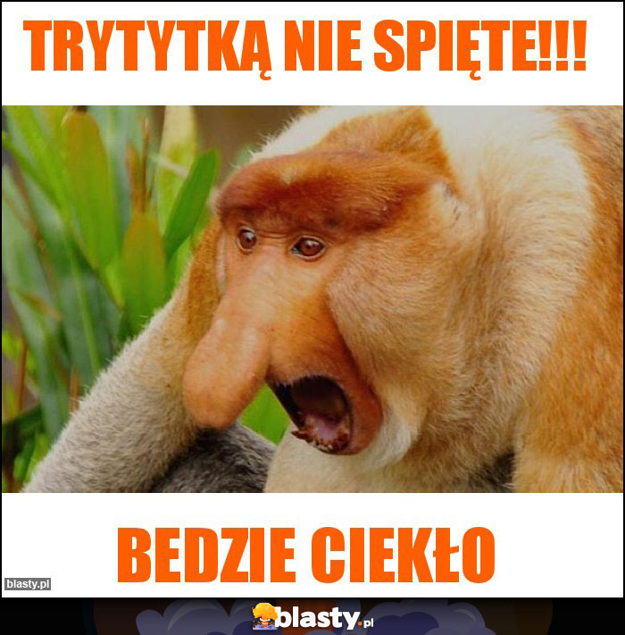 Trytytką nie spięte!!! Trytytką nie spięte!!!