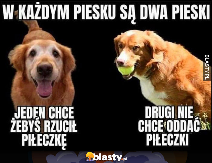 W każdym piesku sa dwa pieski: jeden chce żebyś rzucił piłeczkę, drugi nie chce oddać piłeczki