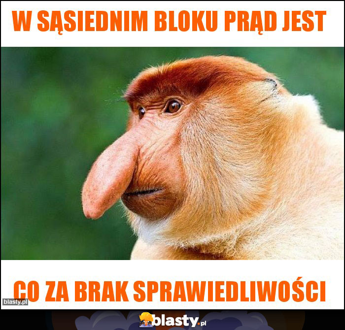 W sąsiednim bloku prąd jest W sąsiednim bloku prąd jest