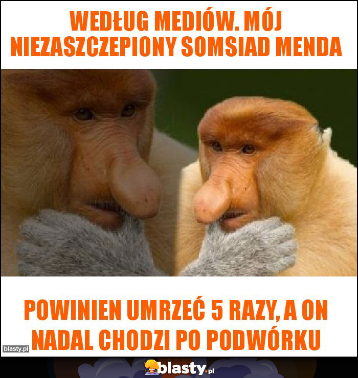 Według mediów. Mój niezaszczepiony somsiad menda Według mediów. Mój niezaszczepiony somsiad menda