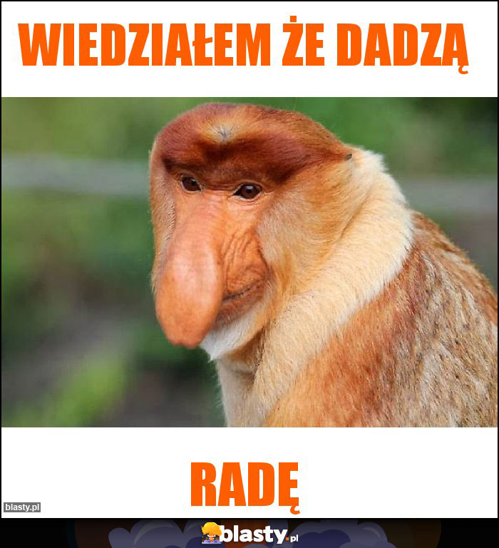 Wiedziałem że dadzą Wiedziałem że dadzą